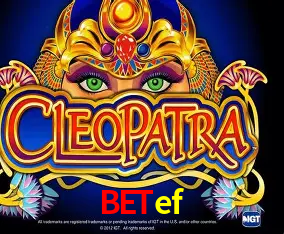 betef Curitiba - Live Status